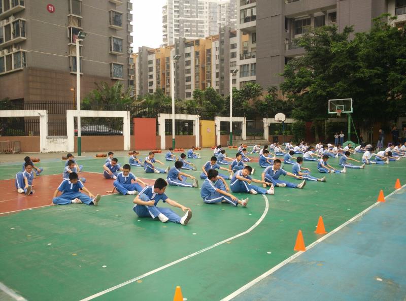 园岭实验小学图片